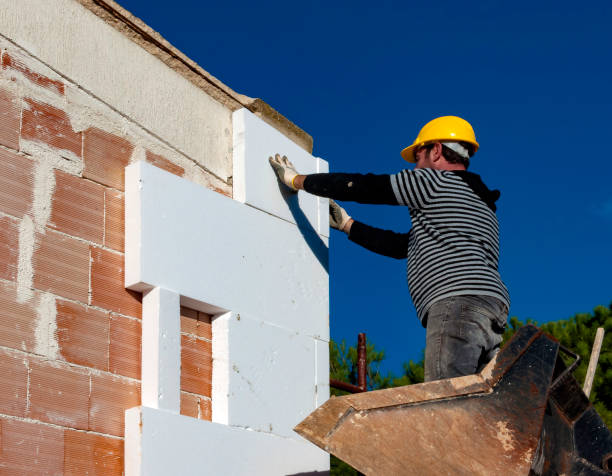 Best Best Insulation Companies  in Winnsboro, TX