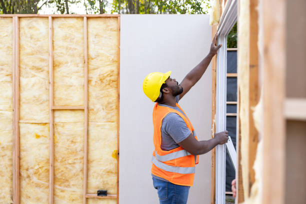 Best Professional Insulation Contractor  in Winnsboro, TX
