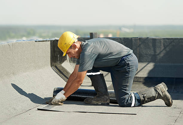 Best Cellulose Insulation  in Winnsboro, TX