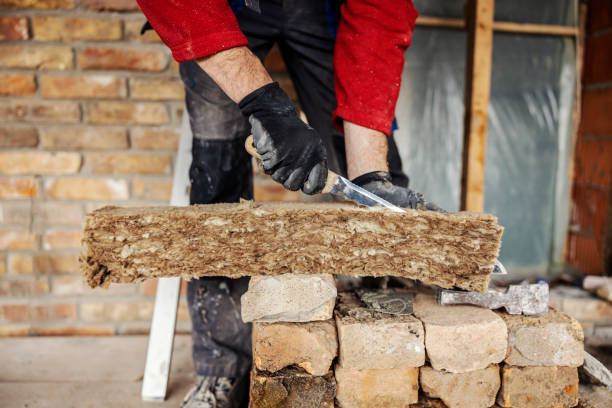 Best Insulation Inspection Services  in Winnsboro, TX